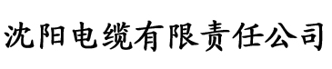 国产多p交换视频电缆厂logo